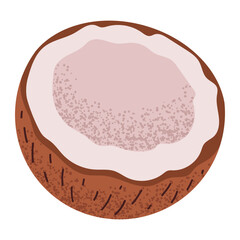 Simple coconut half illustration. Fresh coconut fruit cut in half. Healthy food concept. Minimal flat vector design for interior, poster, cover, banner. Isolated on white background.