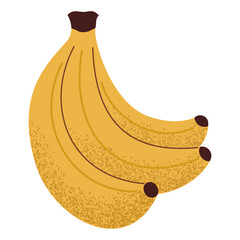 Simple banana bunch illustration. Fresh bananas. Healthy food concept. Minimal flat vector design for interior, poster, cover, banner. Isolated on white background.