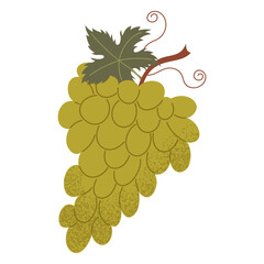 Simple grapes illustration. Fresh grape fruit. Healthy food concept. Minimal flat vector design for interior, poster, cover, banner. Isolated on white background.