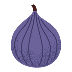 Simple fig illustration. Fresh fig fruit. Healthy food concept. Minimal flat vector design for interior, poster, cover, banner. Isolated on white background.