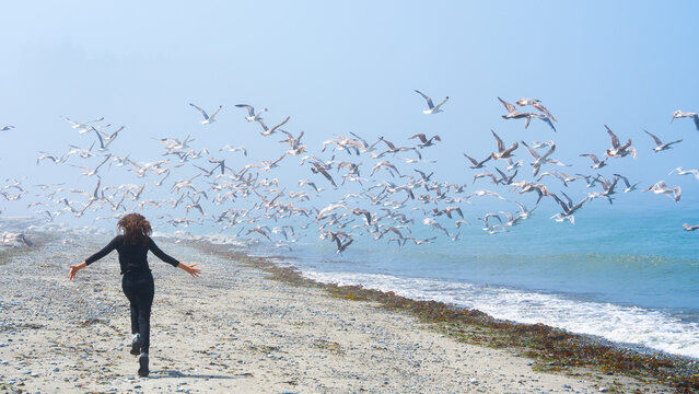 Rear view of a young girl running toward a flock of seagulls on a foggy sandy beach in Washington State - Powered by Adobe