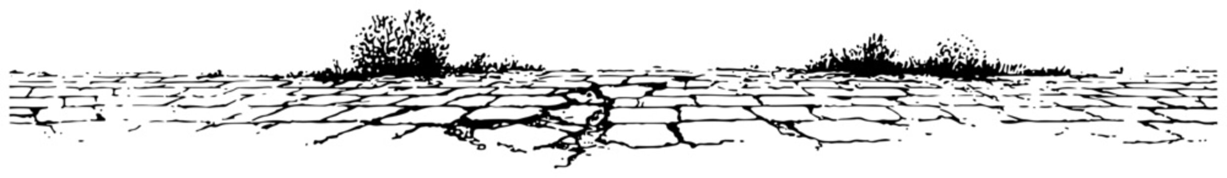 Cracked stone pavement texture with grass growing in gaps