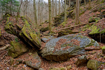 Wheeler farm trail loop in Tennessee