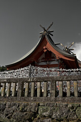 おみくじが飾られる鹿児島神宮