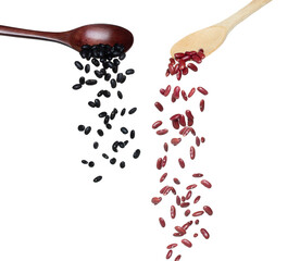 Black red Bean fall, black grain beans explode abstract cloud fly from wooden spoon. Beautiful complete seed pea bean, food object design. Selective focus freeze shot white background isolated