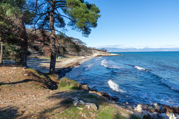 Fototapeta premium Landscape of coastline of Thassos island, Greece