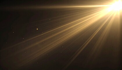 Soft cinematic light source glowing from the upper left area showcasing firefly illumination in a dark environment