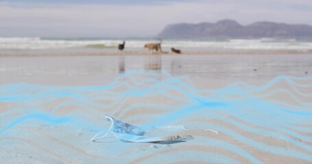 Naklejka premium Lying light-blue surgical mask sinking into wet rippled sand at beach, showing distant dog walkers