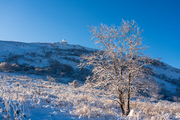 厳冬の霧ケ峰高原から朝日に輝く樹氷と車山