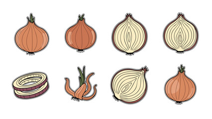 Collection of stylized onions, whole, halved, and sliced, on a white background