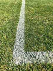 Soccer field marking. Goal area line marked on the turf