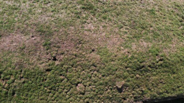 Stoney Littleton prehistoric Neolithic long barrow burial mound, Somerset. Aka Bath Tumulus, Wellow Tumulus. Dates from 3500 BC. Fly up reveal from top of barrow