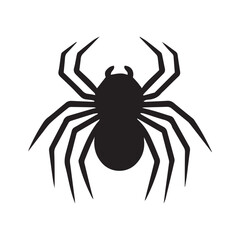 spider on a white background