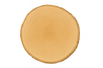 Wood log slice showing annual growth rings
