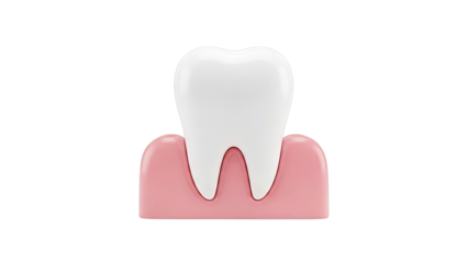 Illustration of a Healthy Tooth in Pink Gums