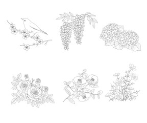 flowers塗り絵　花、植物セット