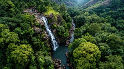 Top View of Cascading Waterfall in Green Jungle Nature