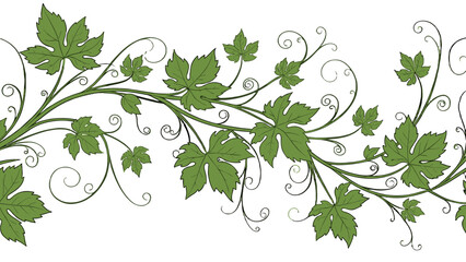 A delicate green vine with leaves and curly tendrils on a