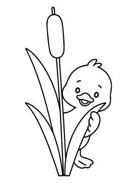 Peekaboo Duckling: A charming and playful duckling peeks out from behind tall reeds, exuding an air of innocence and childlike wonder. 