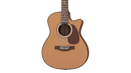 Acoustic Guitar