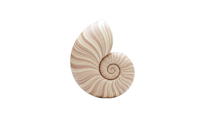 Obraz premium Nautilus Shell Spiral Pattern