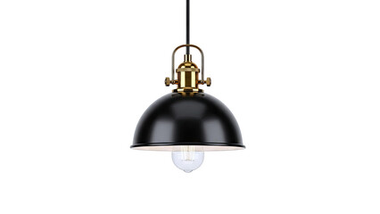 Black Dome Pendant Light with Brass Accents