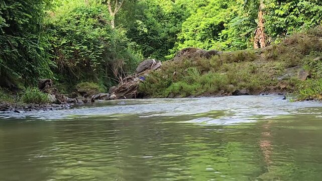 Forest creek panorama, green canopy, calm water, afternoon. Rural river scene, lush jungle banks, soft current, daylight. Tropical stream view, peaceful surface, wild greenery, warm sun. 