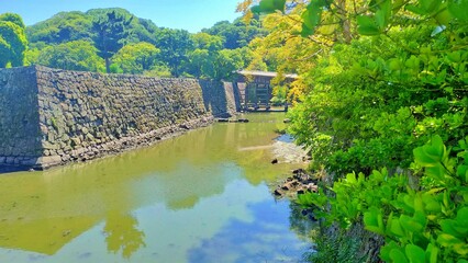 夏の青空と和歌山城の石垣とお堀