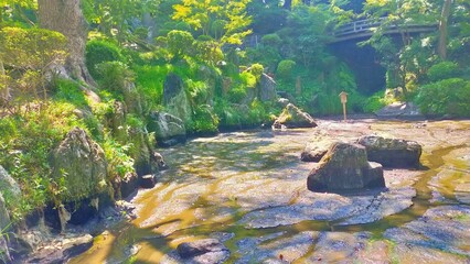 和歌山城西之丸庭園の夏の青空と新緑