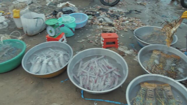 Woman Handling Crawfish on Mui Ne Beach, Vietnam