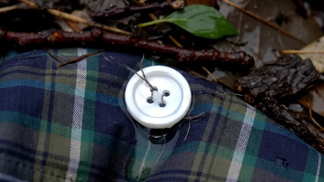 The Forgotten Button In The Wet Forest Mud