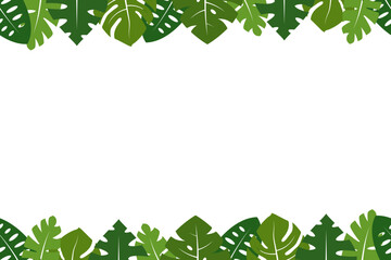 monstera tropical leaf seamless pattern illustration