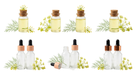 Dill Essential Oil Bottles and Fresh Dill Sprigs