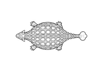 Ankylosaurus hand drawn simple sketch vector illustration