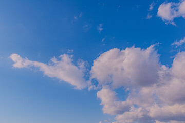 青空に放たれる雲