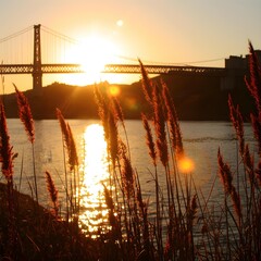 sunset over the river