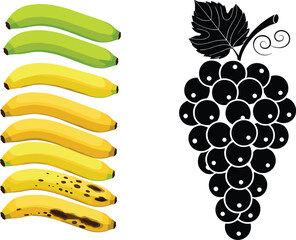 Banana Ripening Stages and Grape Silhouette Illustration SetBanana Ripening Stages and Grape Silhouette Illustration Set