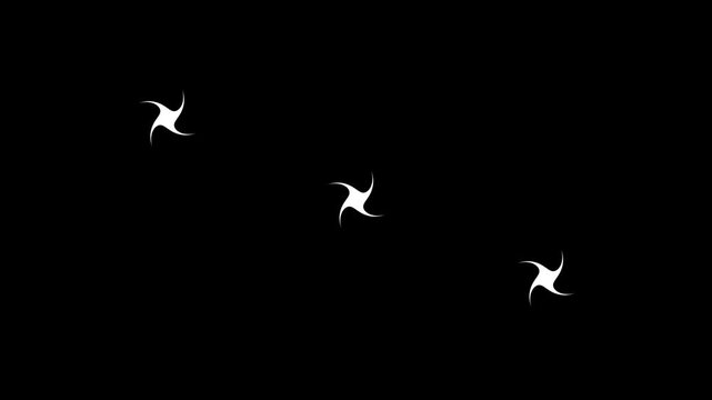 Sparkling twinkle star animation with glowing light motion, flat vector doodle elements, shining glitter trails on black screen chroma key for holiday visuals and creative motion graphics