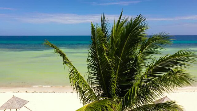 Aerial seascape with beautiful beach. Bohol, Anda, Philippines. Summer and travel vacation concept.