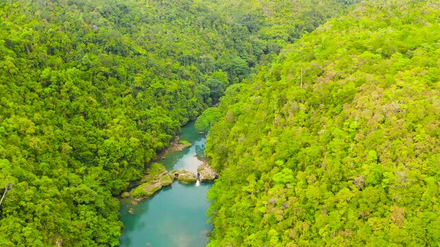 River in the rainforest in a mountain canyon. Loboc River in the green jungle. Bohol, Philippines.