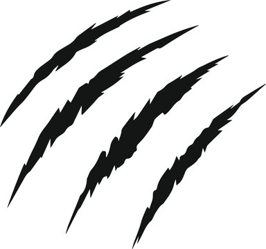 animal claw scratch marks silhouette grunge vector illustration