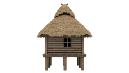Thatched Roof Stilt House