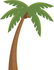 coconut palm tree. flat illustration
