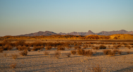 Distant View Of The Chisos Mountains With Warm Morning Light