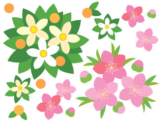 ひな祭りの橘と桃の花のイラストセット