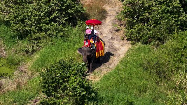 Tourists Riding an Elephant with a Mahout in Ayutthaya Thailand