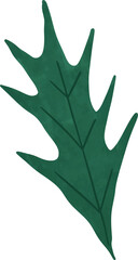 Stylized Dark Green Handdrawn Leaf