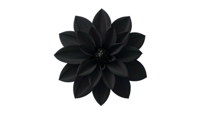 A realistic, top-down view of a fully bloomed black flower on a black background