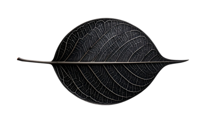 Dark, textured leaf against black, showing veins and intricate details, centered