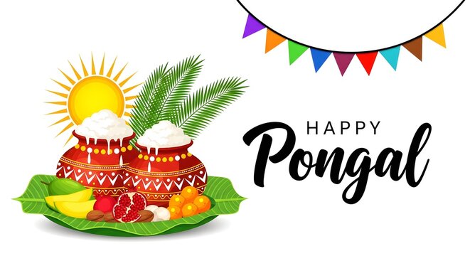 Happy Pongal Holiday, pongal rice, pongal tamilnadu, pongal indian food, Pongal in videos happy pongal, pongal wishes, makar sankranti, happy makar sankranti,